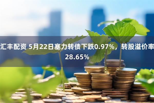 汇丰配资 5月22日塞力转债下跌0.97%，转股溢价率28.65%