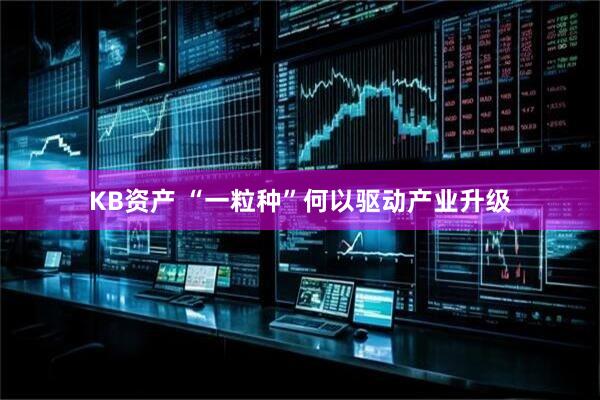 KB资产 “一粒种”何以驱动产业升级